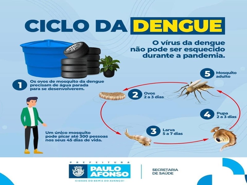 DENGUE2